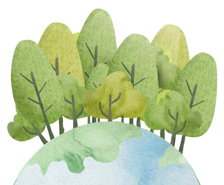 bonÀrea Economía circular Eficacia y sostenibilidad